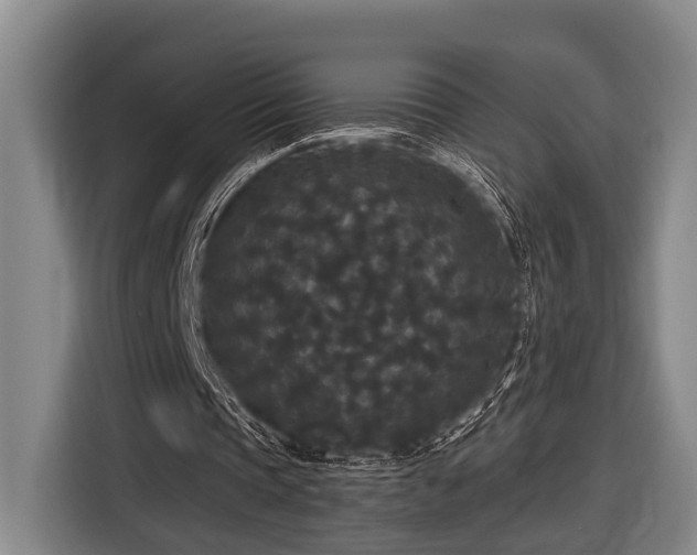 X0000116870337200912221410