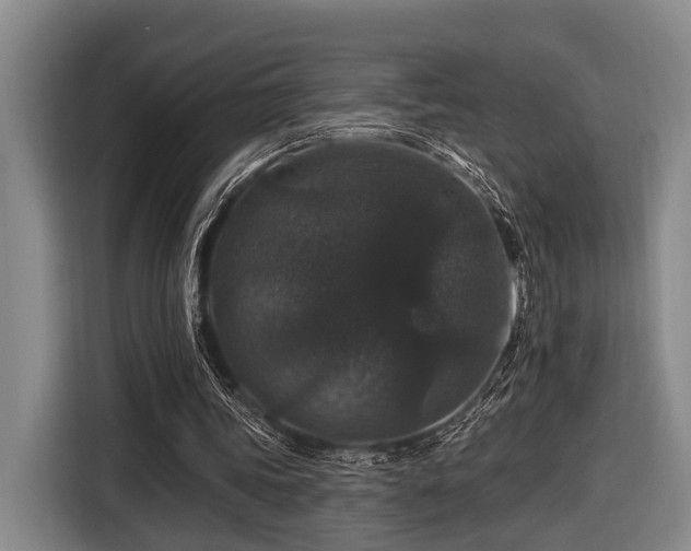 X0000116870339200912221410