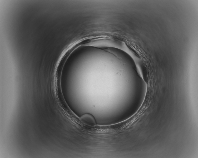 X0000116870342200912221410