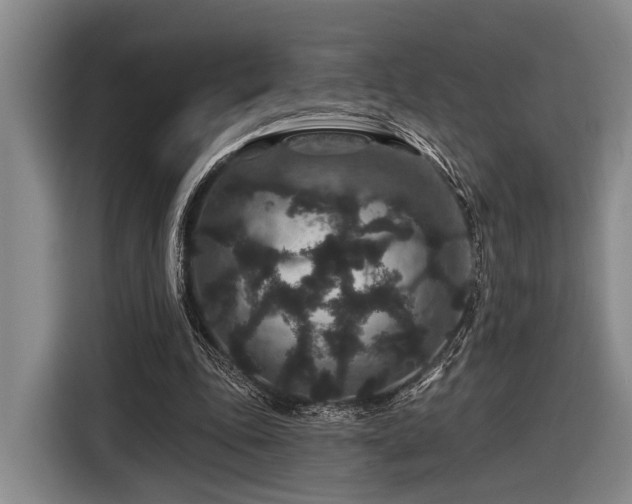 X0000116870343200912221410