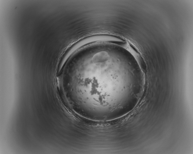 X0000116870345200912221410