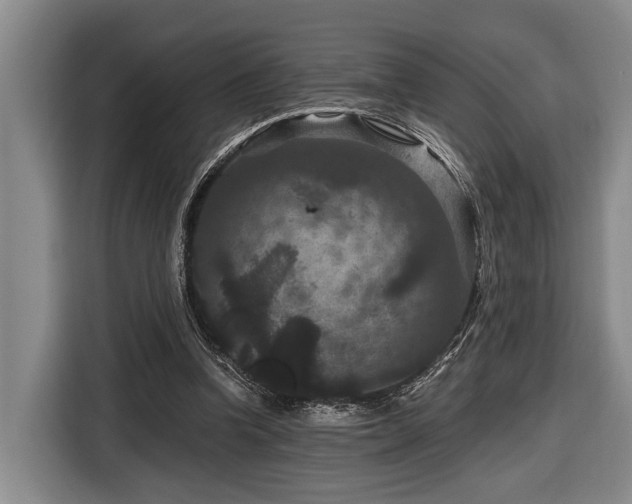X0000116870346200912221410