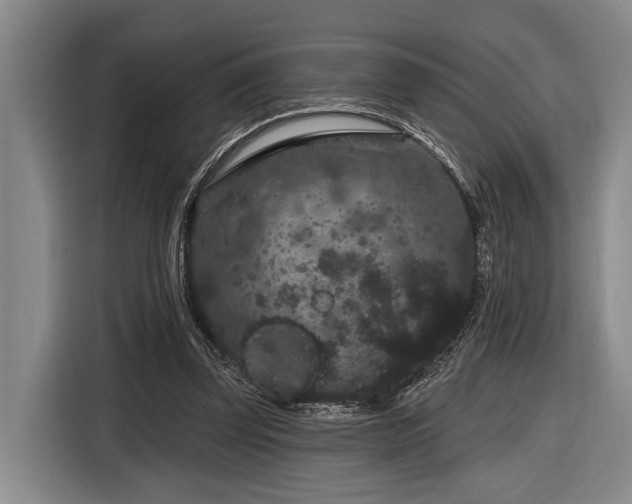 X0000116870347200912221410