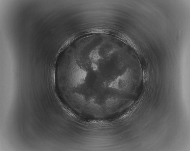 X0000116870349200912221410