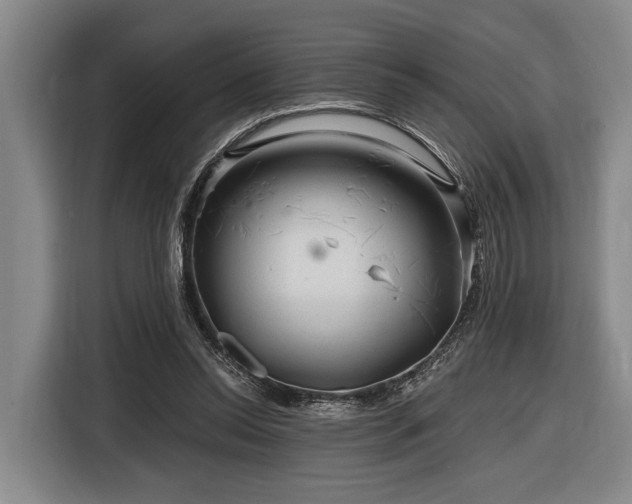 X0000116870350200912221410