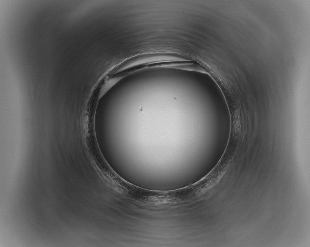 X0000116870351200912221410
