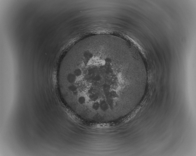 X0000116870353200912221410