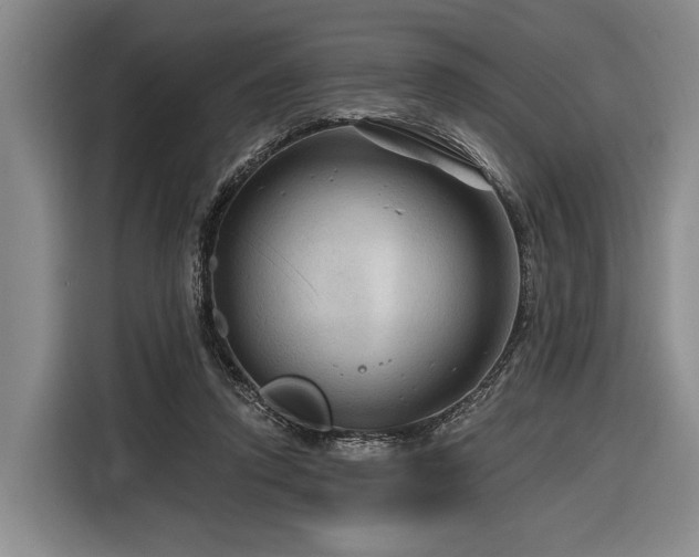 X0000116870354200912221410
