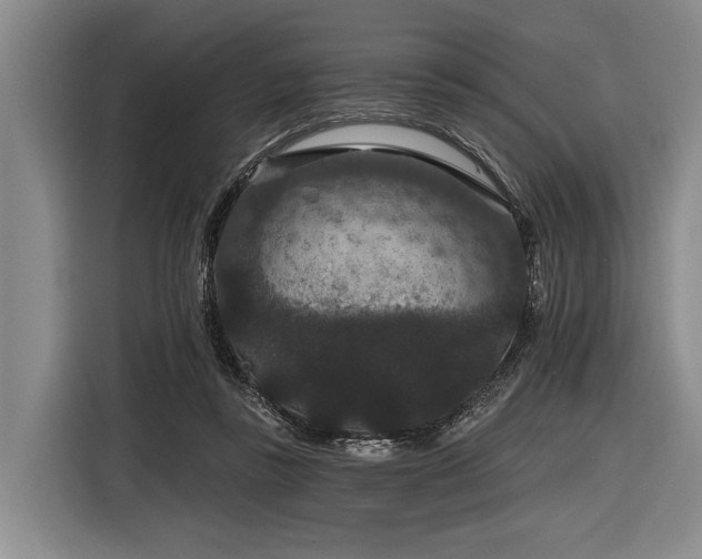 X0000116870355200912221410