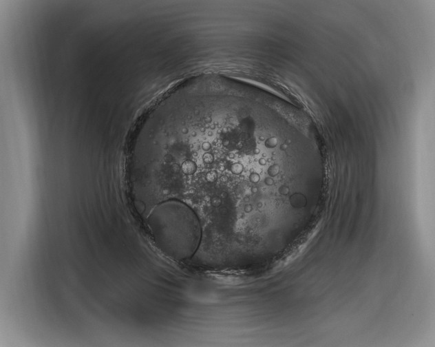 X0000116870359200912221410