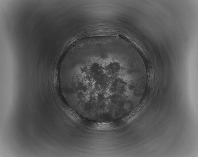 X0000116870361200912221410