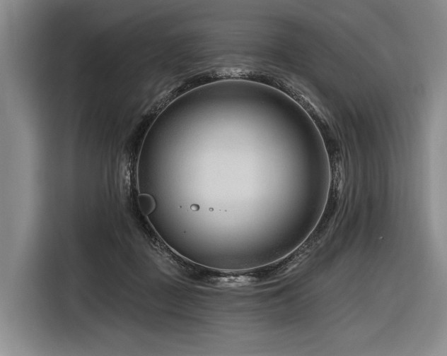 X0000116870363200912221410