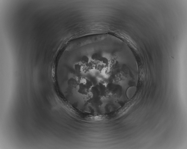 X0000116870365200912221410