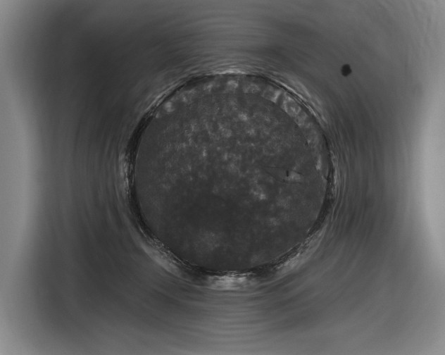 X0000116870366200912221410
