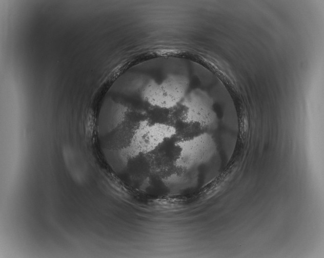 X0000116870367200912221410