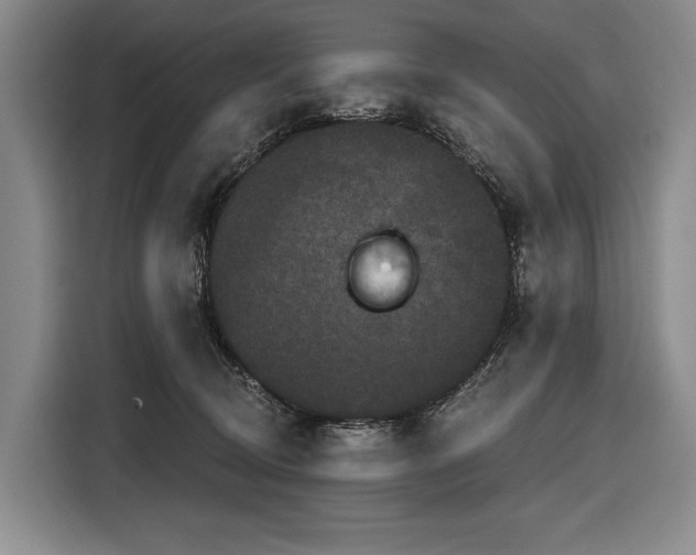 X0000116870370200912221410