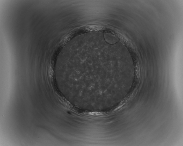 X0000116870371200912221410