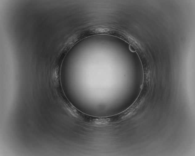 X0000116870373200912221410