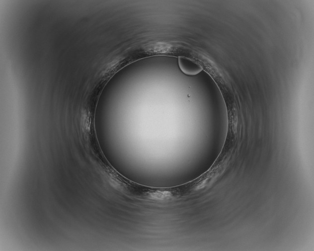 X0000116870374200912221410