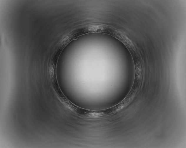 X0000116870375200912221410