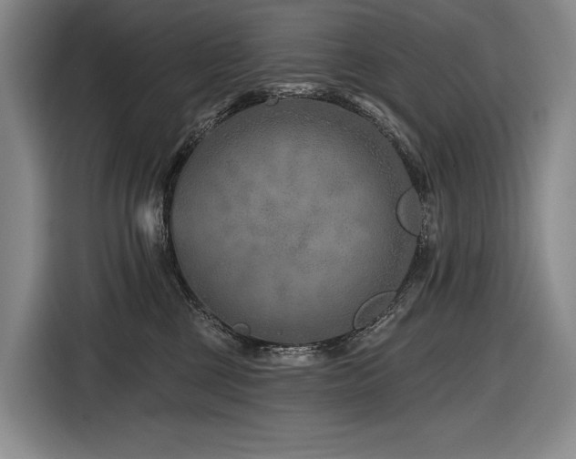 X0000116870377200912221410
