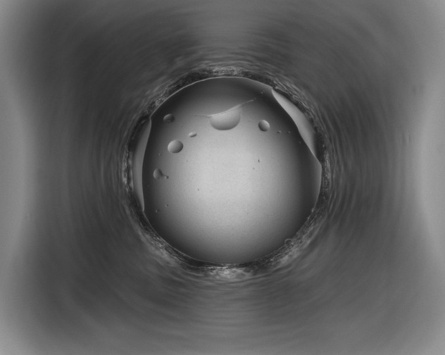 X0000116870379200912221410