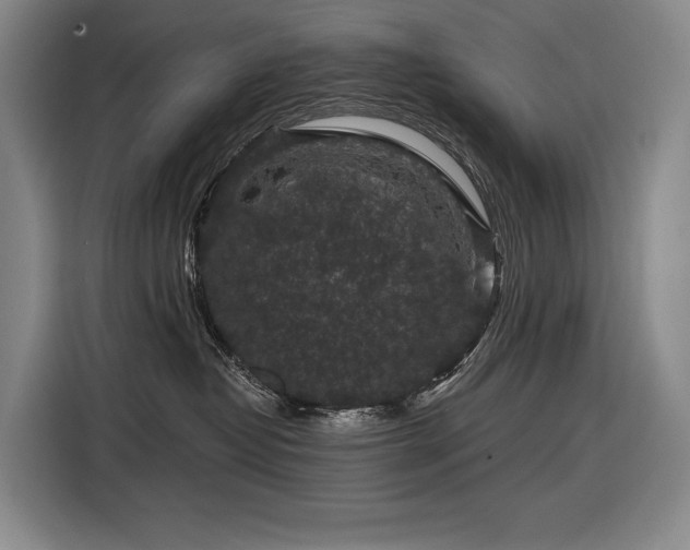 X0000116870382200912221410