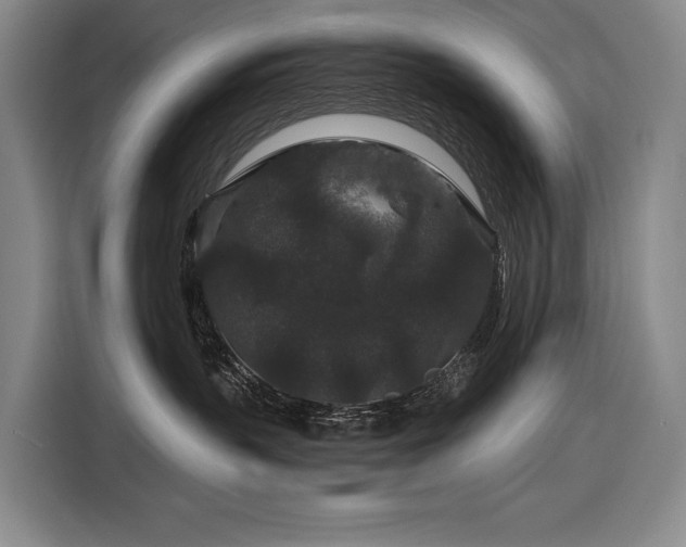 X0000116870383200912221410