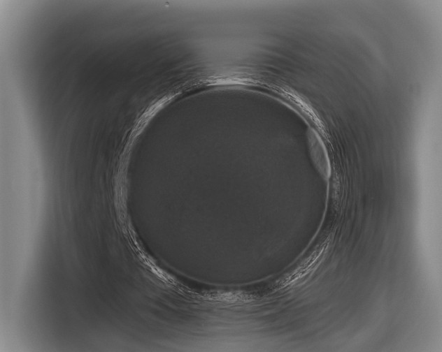 X0000116870385200912221410