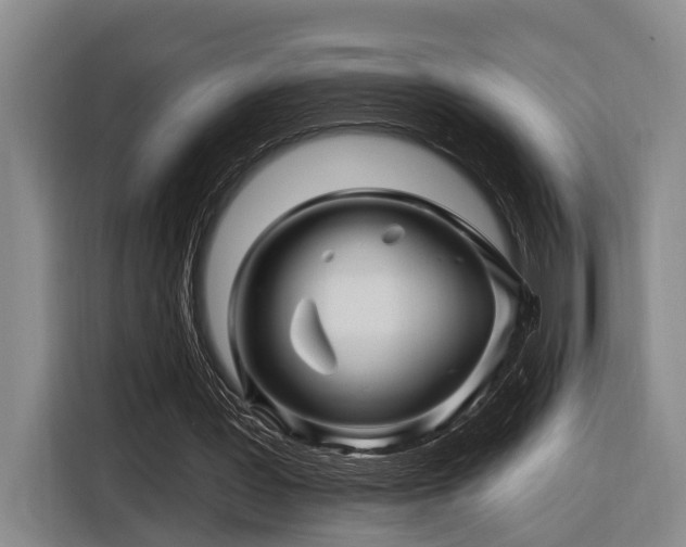 X0000116870387200912221410