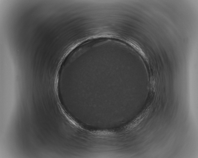 X0000116870389200912221410