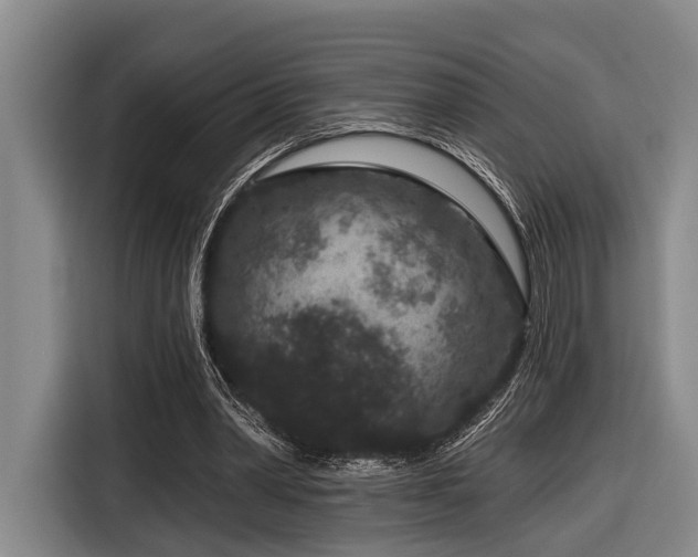 X0000116870390200912221410