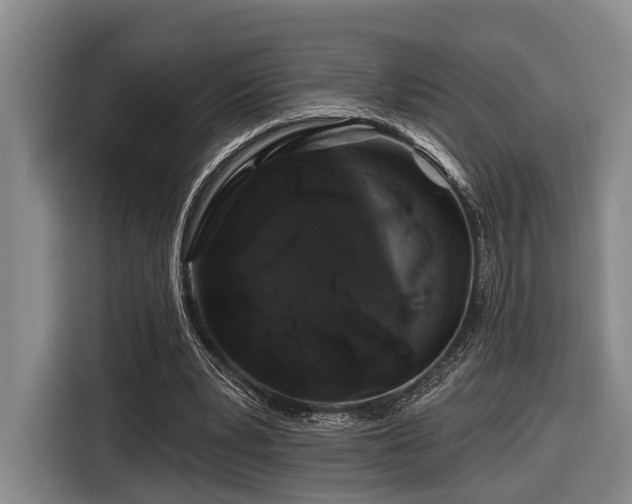 X0000116870391200912221410