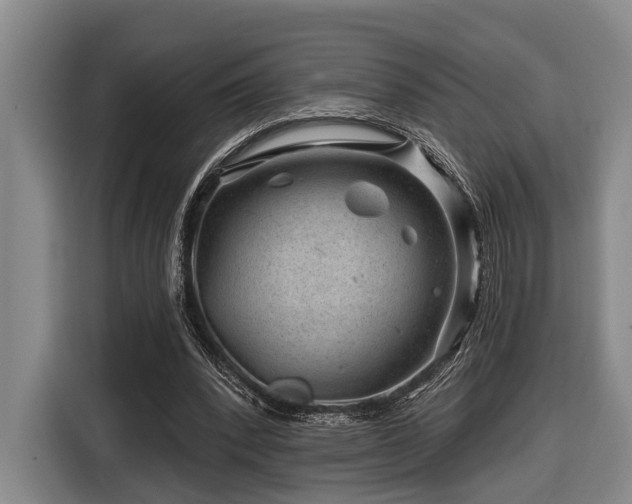 X0000116870392200912221410