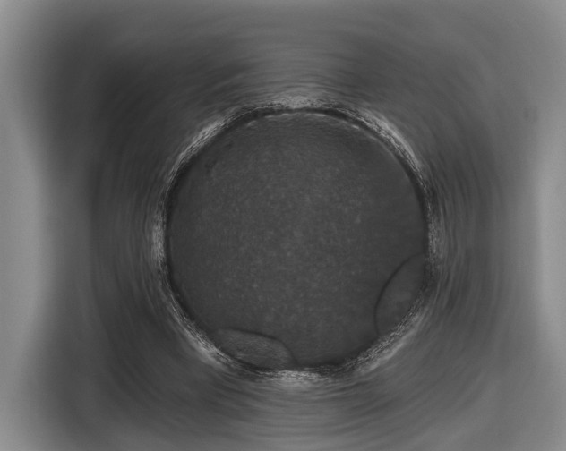 X0000116870393200912221410