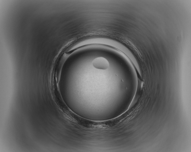 X0000116870396200912221410