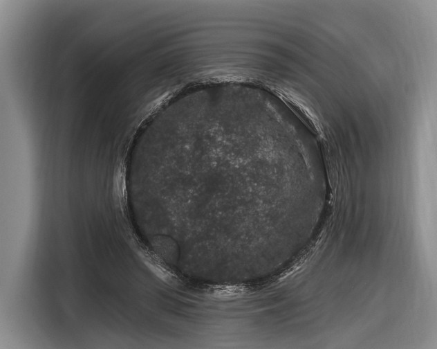 X0000116870398200912221410