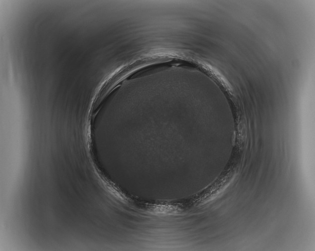 X0000116870399200912221410
