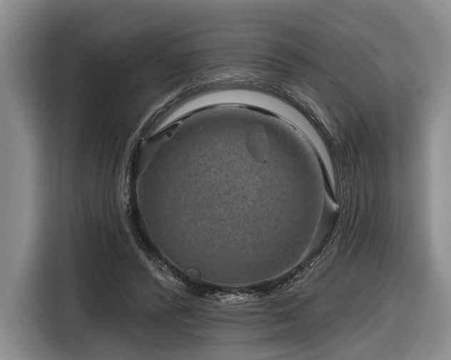 X0000116870400200912221410
