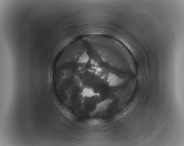 X0000116870402200912221410