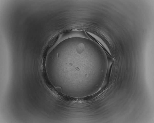 X0000116870404200912221410