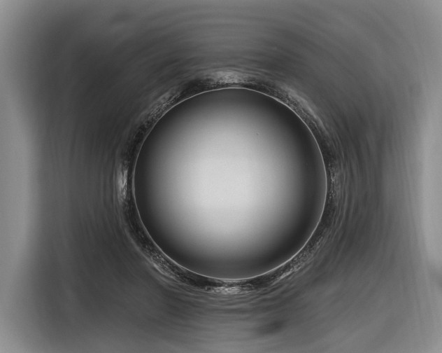 X0000116870406200912221410