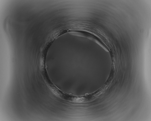 X0000116870410200912221409