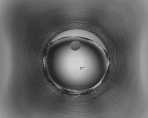X0000116870411200912221409