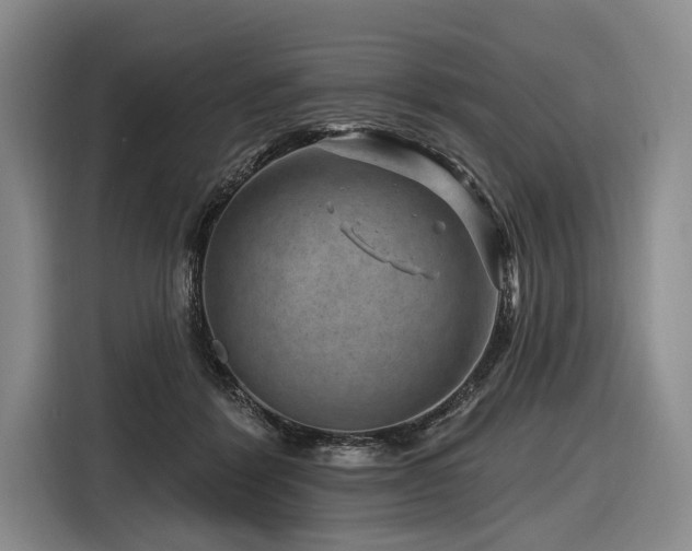 X0000116870412200912221409