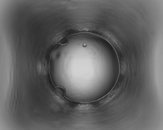X0000116870414200912221409