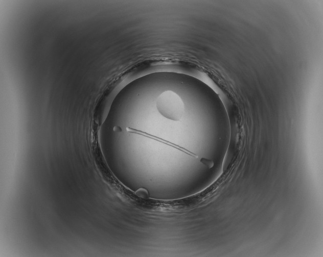 X0000116870416200912221409