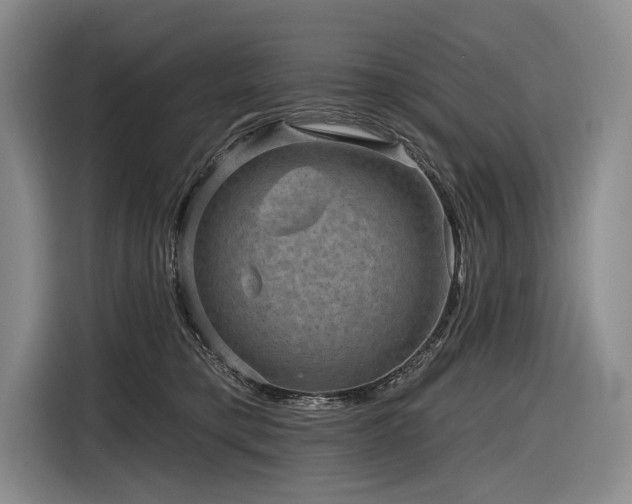 X0000116870421200912221409