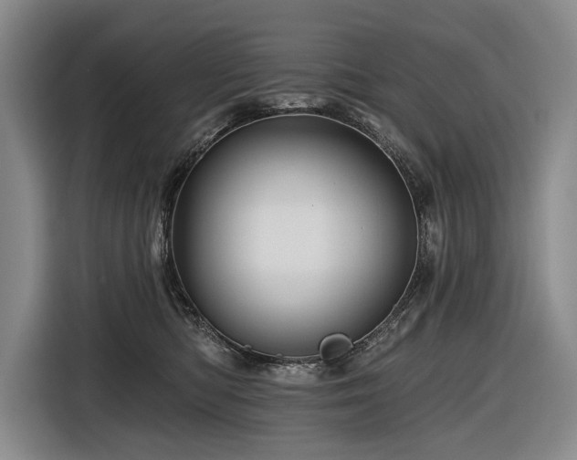 X0000116870422200912221409