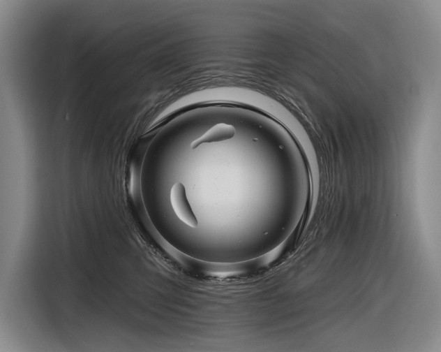 X0000116870423200912221409